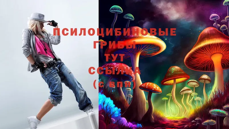 Псилоцибиновые грибы Psilocybine cubensis  Данилов 